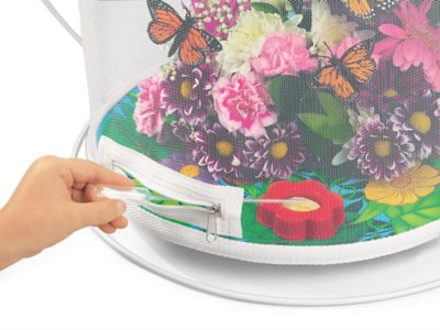The Butterfly Nursery