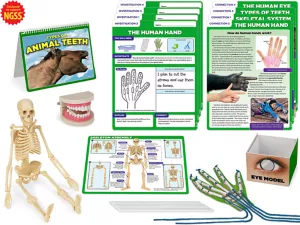 Meet the Standards Human Body Kit&nbsp;- Gr.&nbsp;4