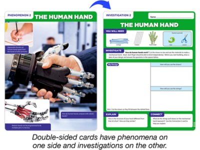 Meet the Standards Human Body Kit&nbsp;- Gr.&nbsp;4