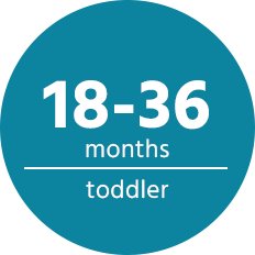 18 to 36 Months