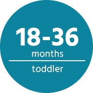 18 to 36 Months