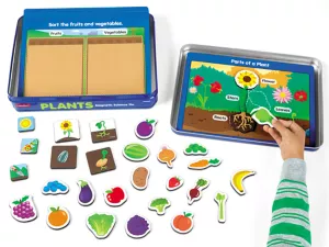 Plants Magnetic Activity Tin
