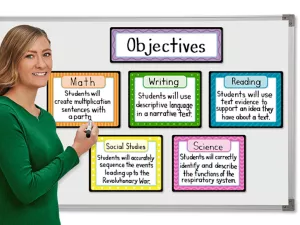 Magnetic Write&nbsp;& Wipe Organization Charts