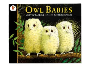 Owl Babies Big Book