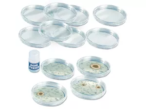 Growing Bacteria Classroom Kit