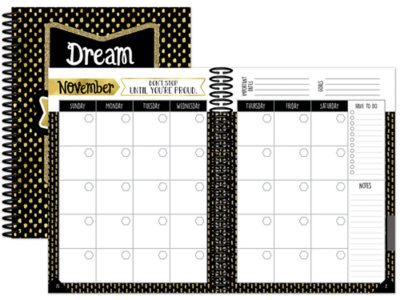 Sparkle&nbsp;& Shine Lesson Plan Book