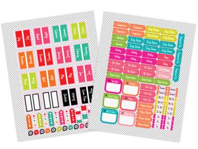 Black, White&nbsp;& Stylish Brights Lesson Plan&nbsp;& Record Book