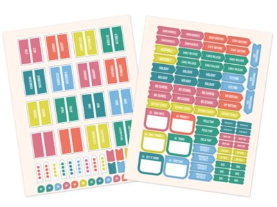True to You Lesson Plan&nbsp;& Record Book