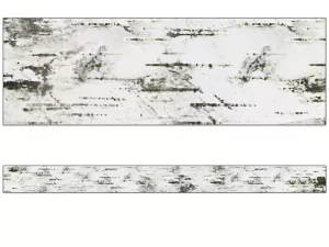 Woodland Whimsy Birch Tree Border