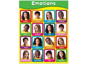 Emotions Photo Poster