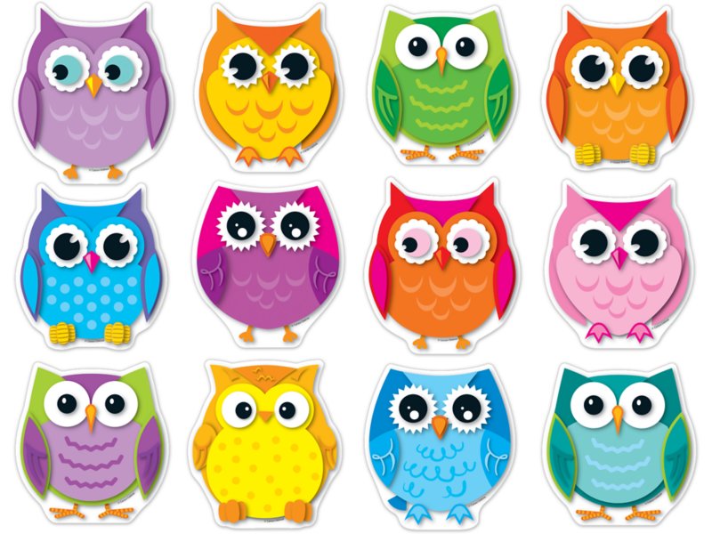 Colorful Owl Accents At Lakeshore Learning