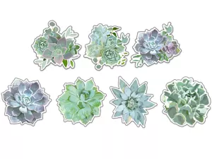 Simply Stylish Succulent Accents