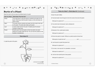 Instant STEM Activities Workbook - Gr. 3 at Lakeshore Learning