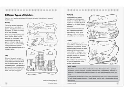 Instant STEM Activities Workbook - Gr. 4 at Lakeshore Learning