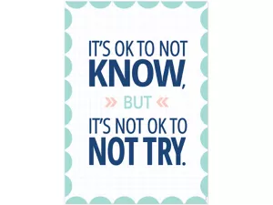 Calm&nbsp;& Cool It’s OK to Not Know Poster
