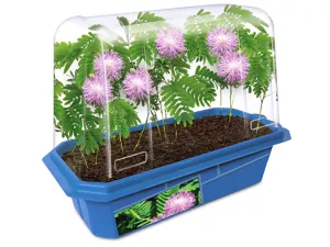 Grow-Your-Own Moving Plant