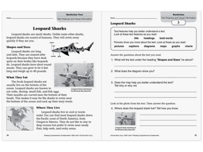 Reading Comprehension Fundamentals Workbook&nbsp;- Gr.&nbsp;2