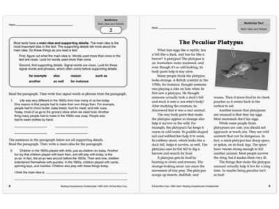 Reading Comprehension Fundamentals Workbook&nbsp;- Gr.&nbsp;3