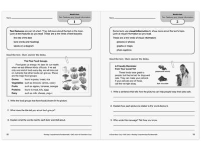 Reading Comprehension Fundamentals Workbook&nbsp;- Gr.&nbsp;3