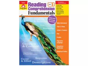 Reading Comprehension Fundamentals Workbook&nbsp;- Gr.&nbsp;5