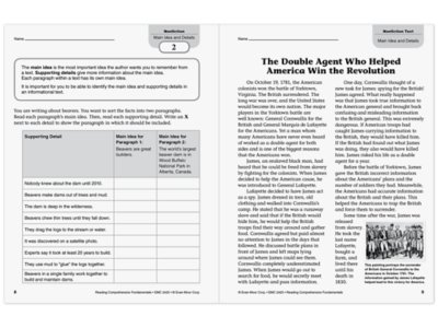 Reading Comprehension Fundamentals Workbook&nbsp;- Gr.&nbsp;5