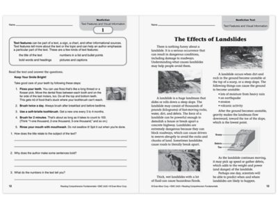 Reading Comprehension Fundamentals Workbook&nbsp;- Gr.&nbsp;5
