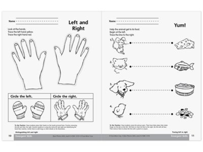 Basic Phonics Skills Workbook&nbsp;- Pre <span style="white-space: nowrap;">K-K</span>