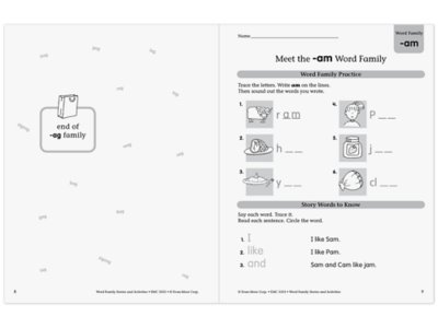 Word Family Workbook