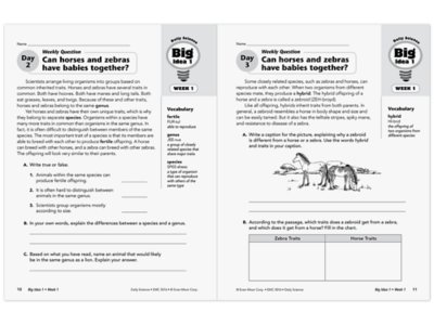 Daily Science Reproducible Activities Workbook&nbsp;- Gr.&nbsp;6