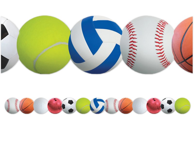 sports ball border vector