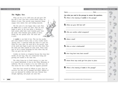 Comprehension Workbook&nbsp;- Gr.&nbsp;3