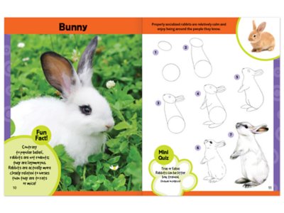 Learn to Draw Pets Activity Book