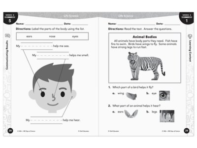 180 Days of Science Workbook&nbsp;- Kindergarten