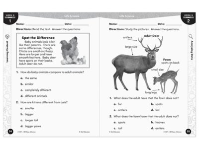 180 Days of Science Workbook&nbsp;- Gr.&nbsp;1