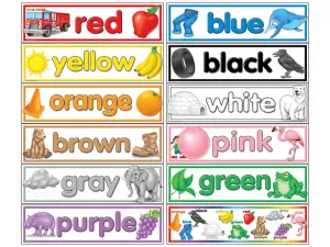 Learning Colors Bulletin Board Set