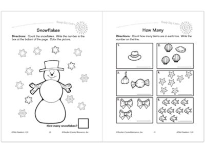 Numbers <span style="white-space: nowrap;">1-20 Workbook</span>