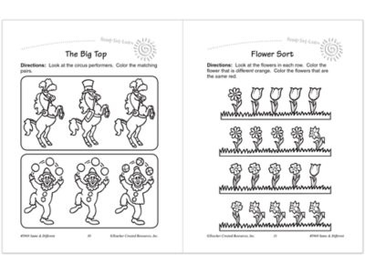 Same&nbsp;& Different Workbook
