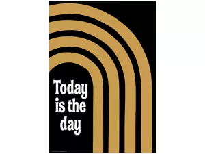 Wonderfully Wild Today Is the Day Poster