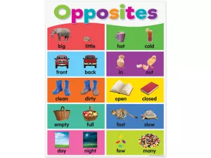 Colorful Opposites Poster