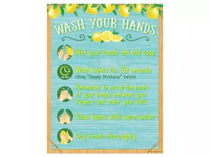 Lemon Zest Wash Your Hands Reference Poster
