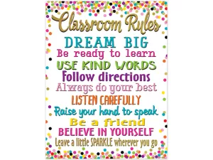 Confetti Classroom Rules Poster