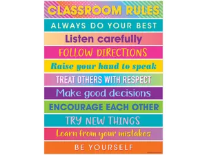 Colorful Vibes Classroom Rules Poster
