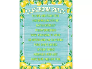 Lemon Zest Classroom Rules Poster