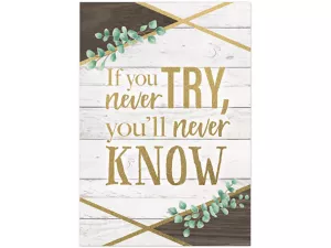 Eucalyptus If You Never Try Poster