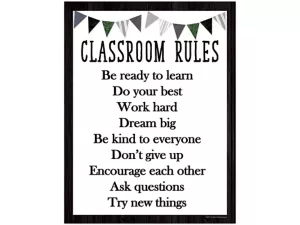 Modern Farmhouse Classroom Rules Poster