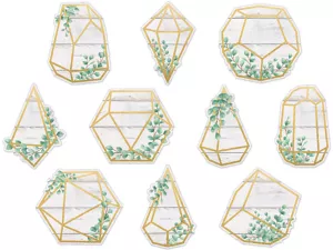 Eucalyptus Geometric Terrarium Accents