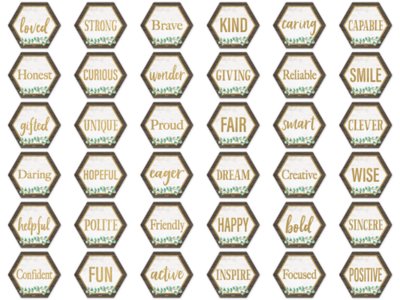 Eucalyptus Motivational Mini Accents