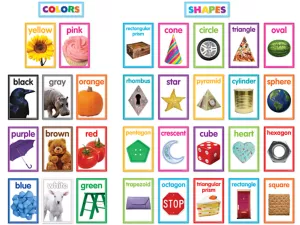 Color&nbsp;& Shape Photo Card Bulletin Board Set