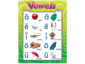 Vowels Photo Poster