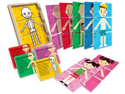 My Body Systems Puzzle Set at Lakeshore Learning
